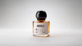 ABSOLU 01
