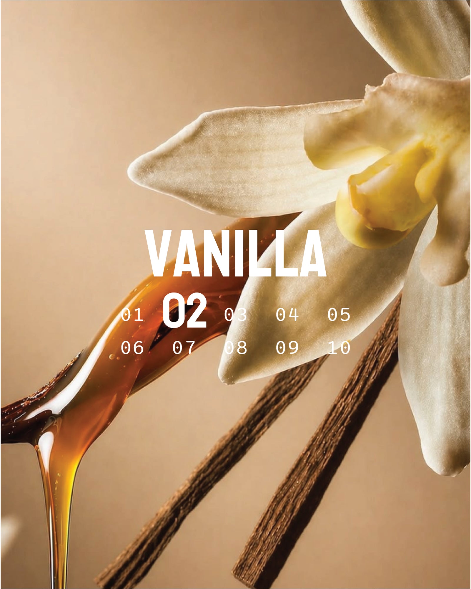 ABSOLU 02