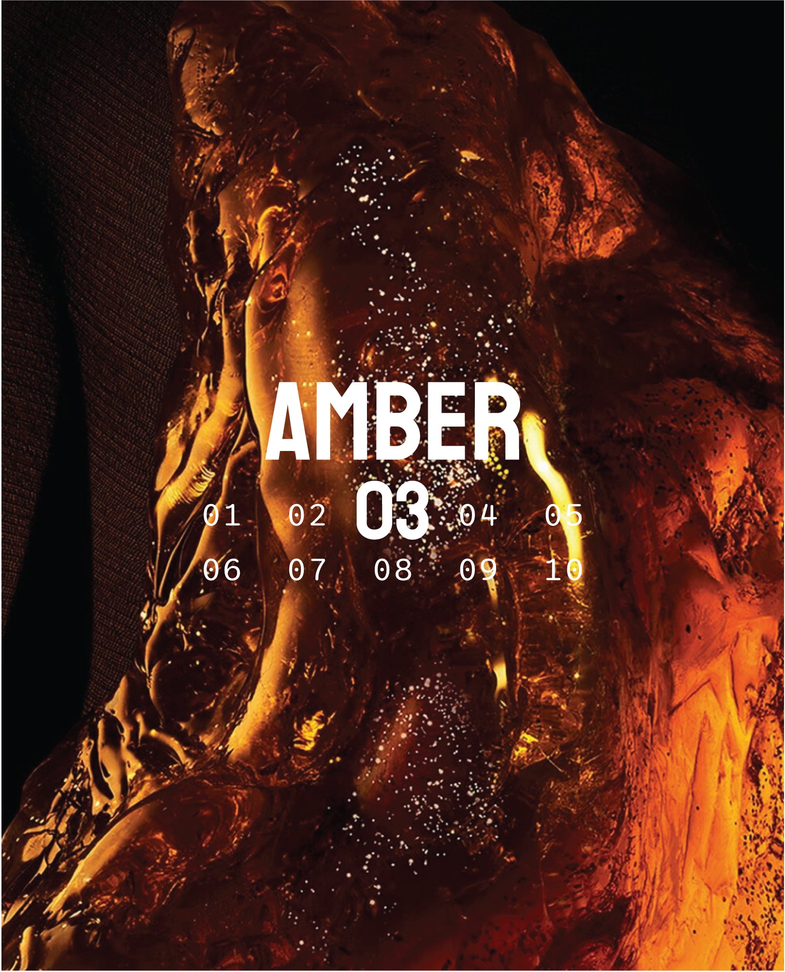 ABSOLU 03