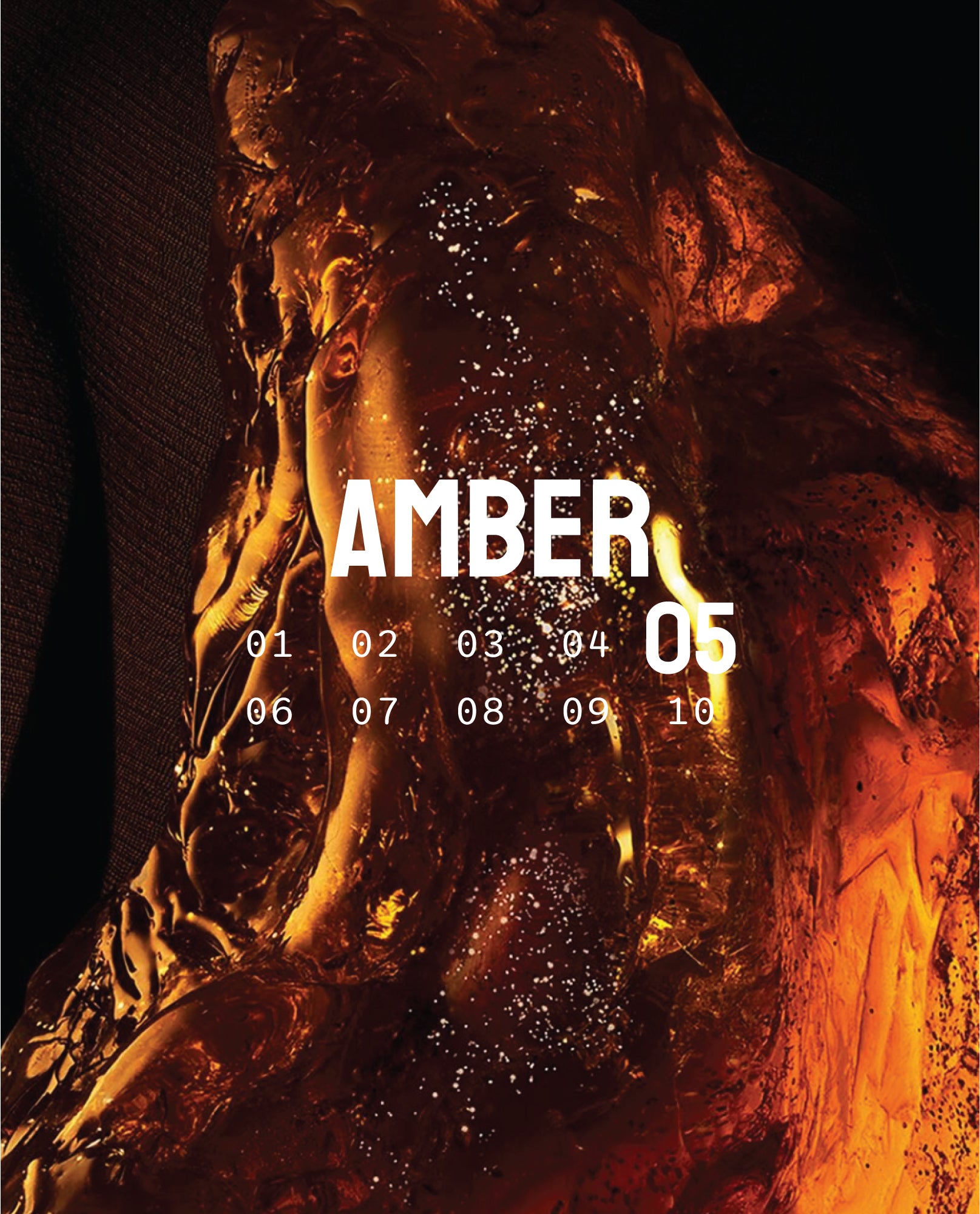 ABSOLU 05