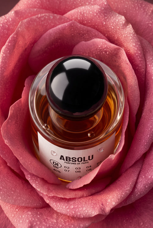 ABSOLU 01
