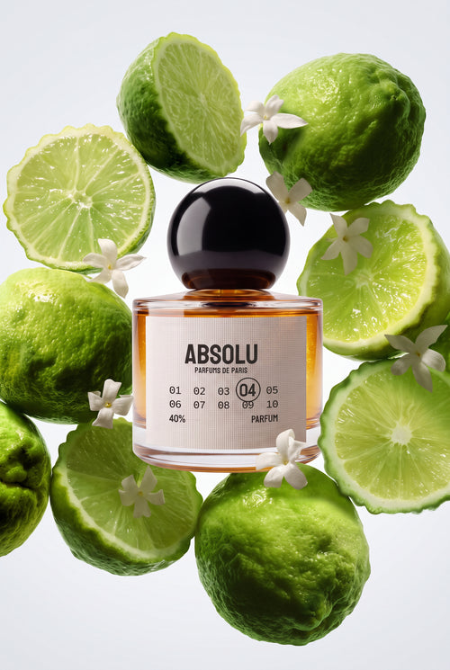 ABSOLU 04